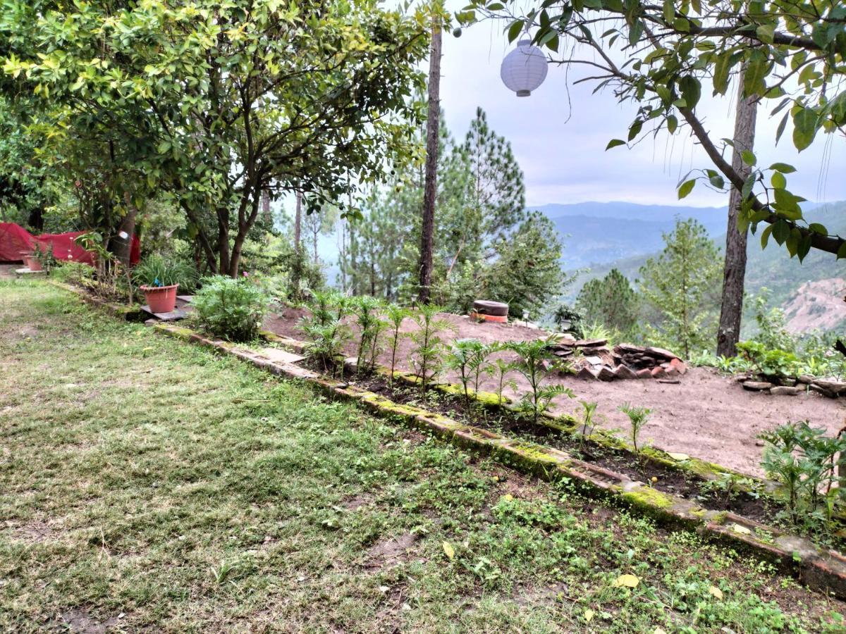 Le Jardin Almora 호텔 외부 사진